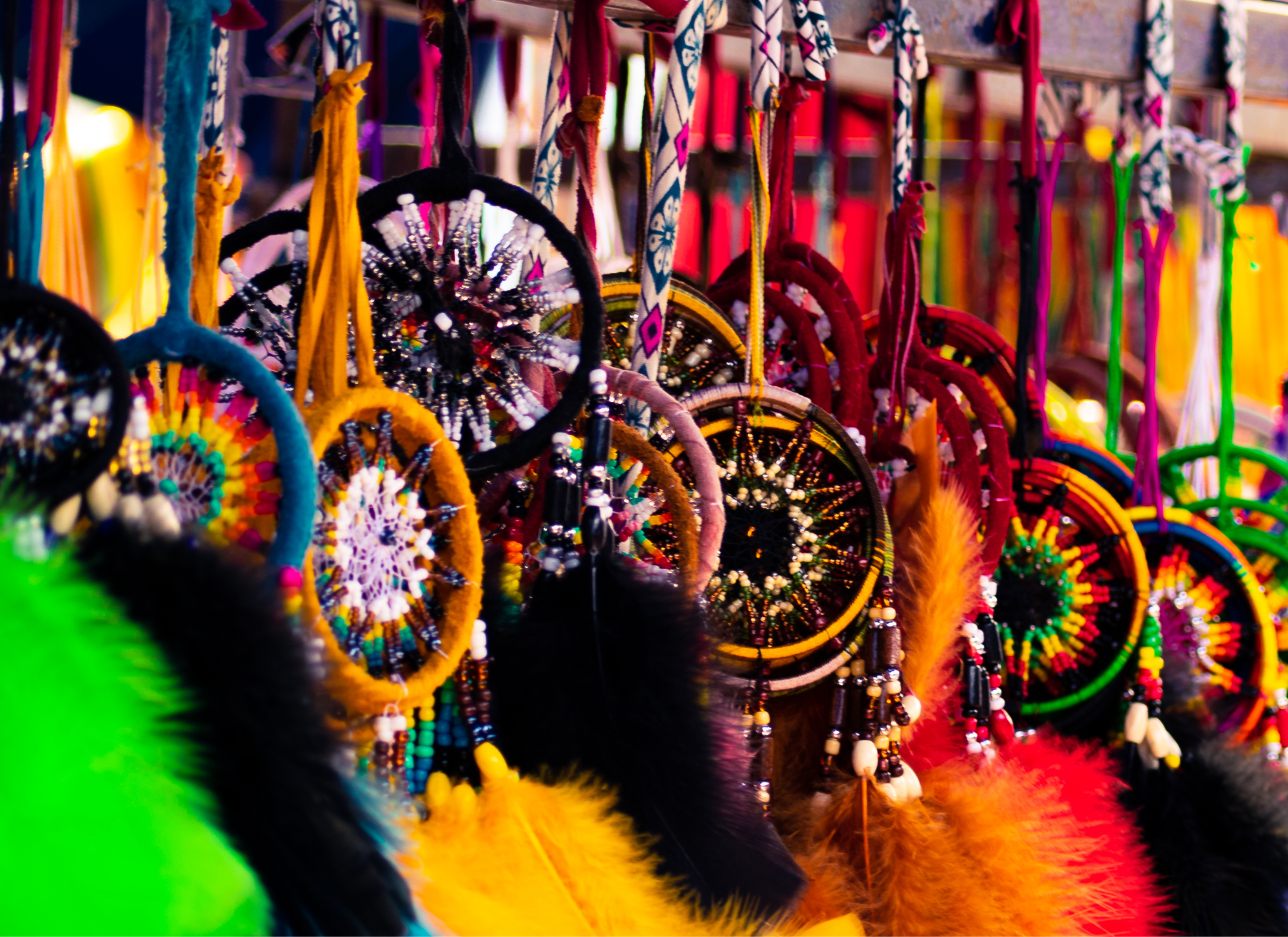 Honouring Indigenous Contributions to STEM